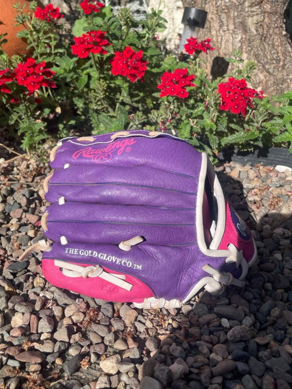 Rawlings Purple and Pink Women's Baseball Glove with White Lacing